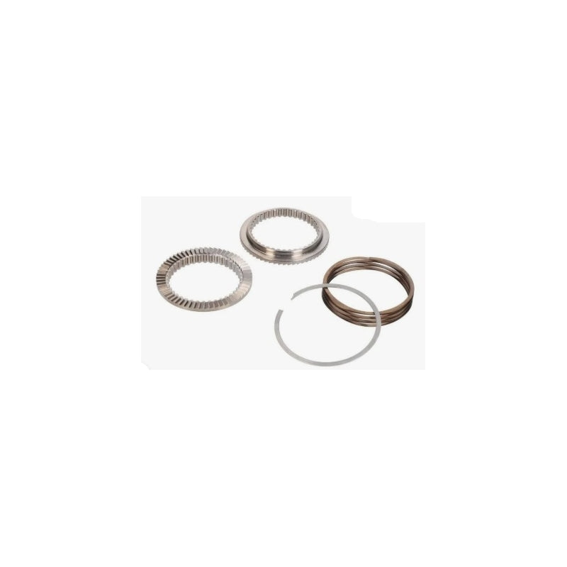 Enve Innerdrive Ratchet Kit Enve Svc Hub 60T Only (with Spring Washer & Fluid)