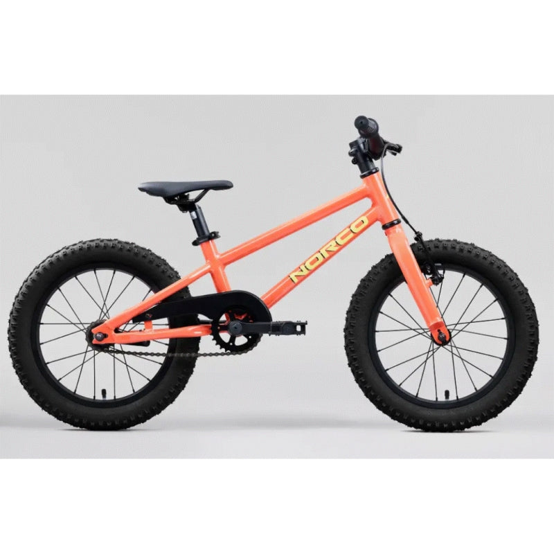 Norco Storm 16 Coaster