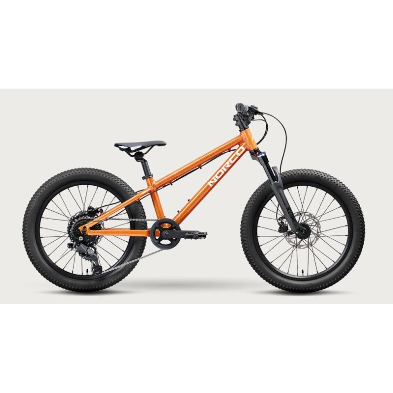 Norco Bikes Charger 20