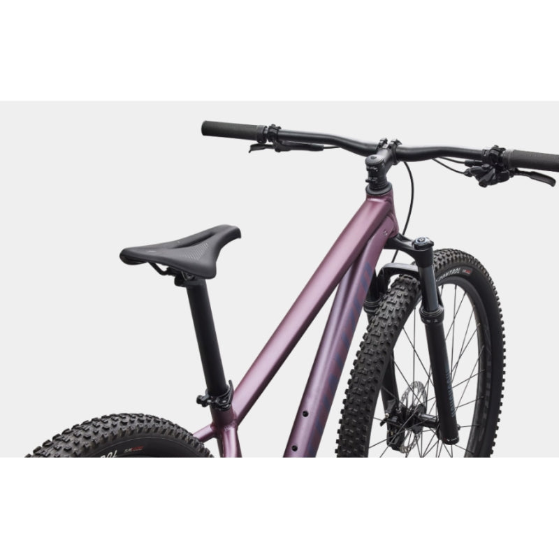 Specialized Rockhopper Expert 29