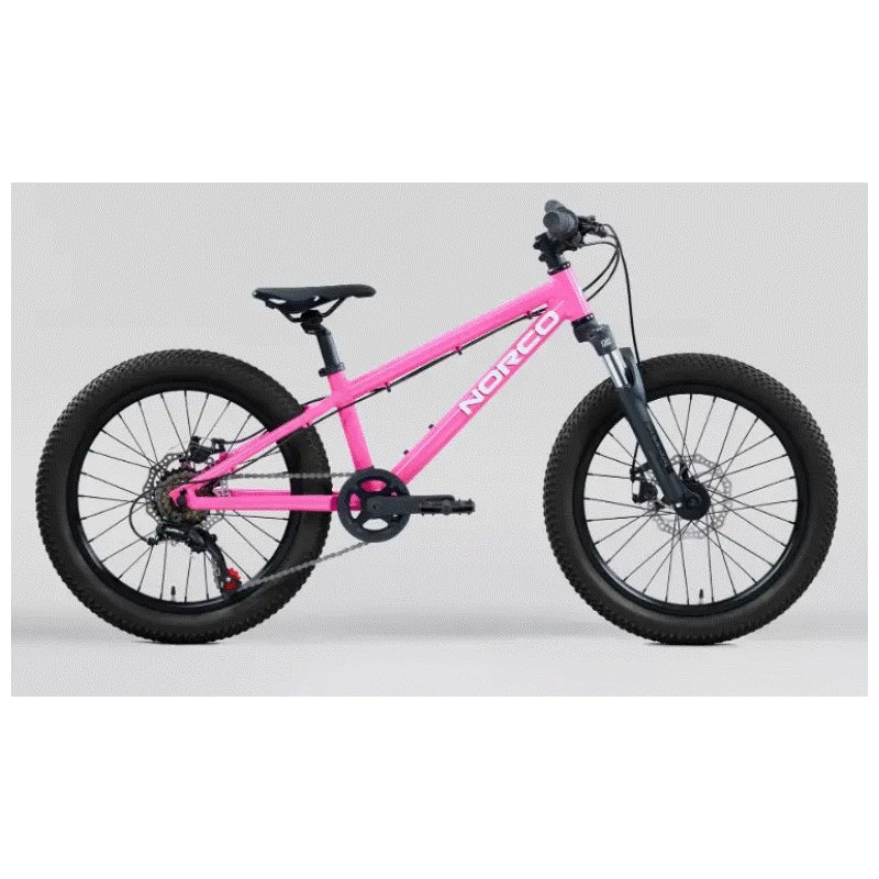 Norco Storm 20