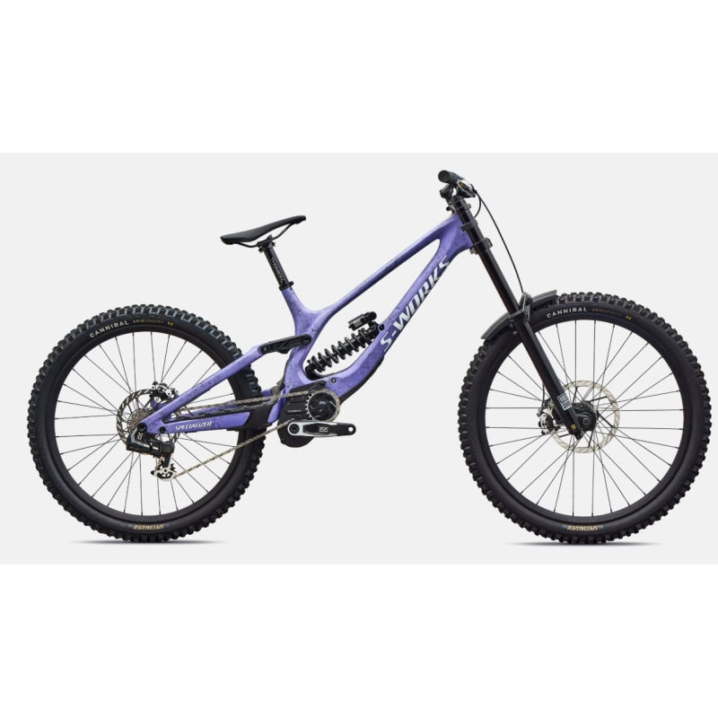 Specialized 2027 S-works Demo 11