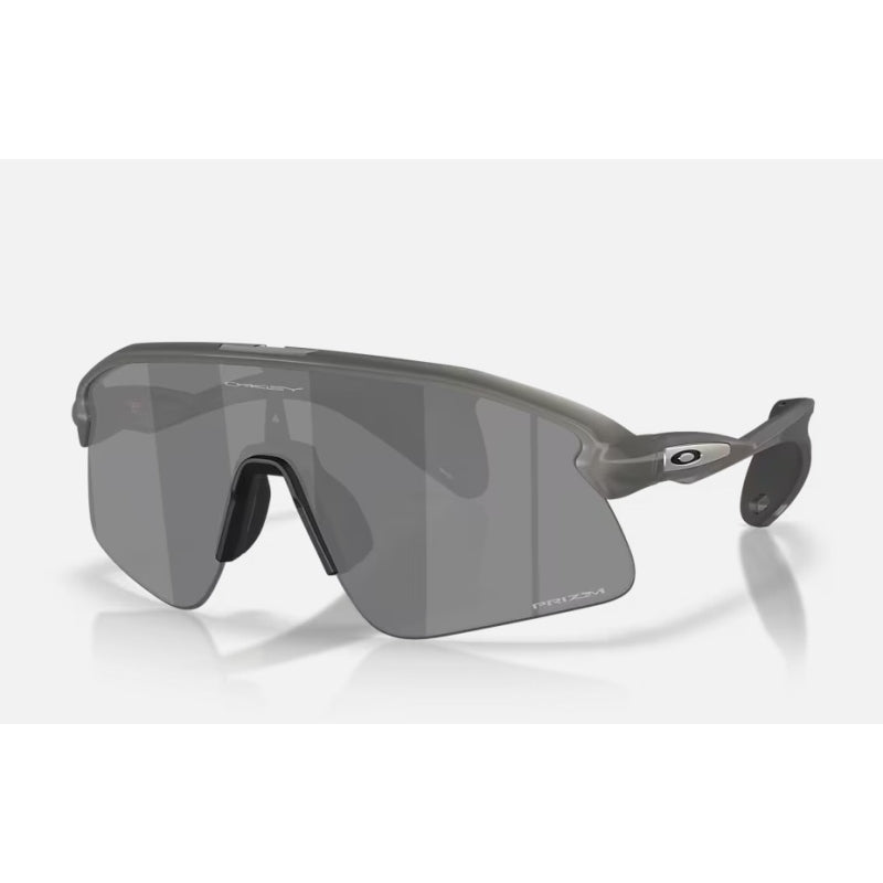Oakley Stunt Devil Grey Smoke Przm Black