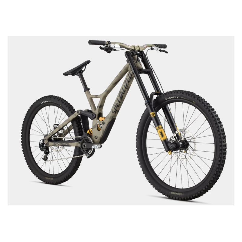 Specialized 2025 Demo Race