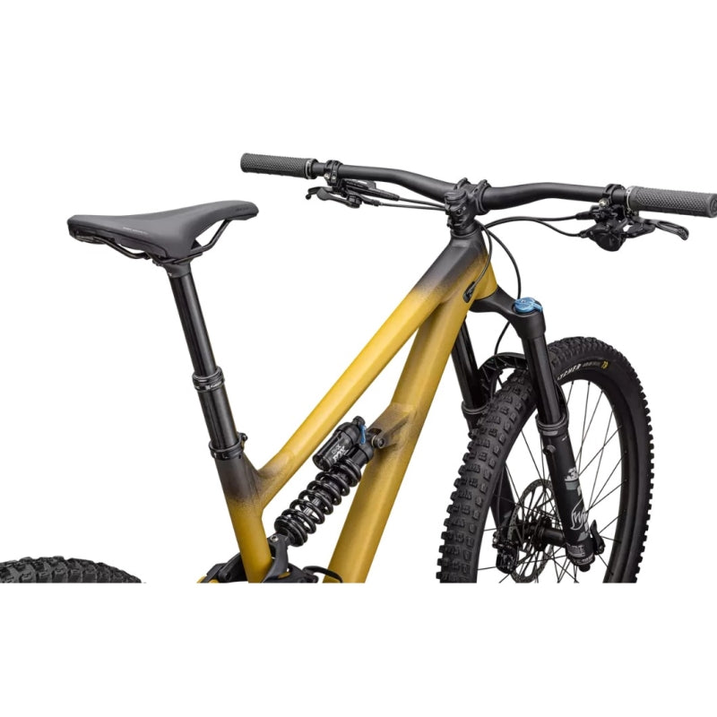 Specialized Status 170 2