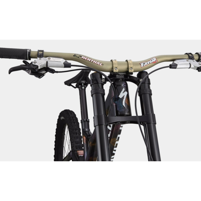 Specialized 2025 Demo Race