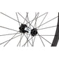 Specialized Roval Control SL VI 350 Front Wheel