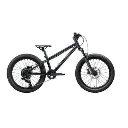 Norco Bikes Charger 20