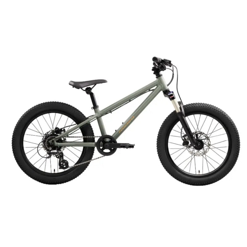 Norco Charger 20