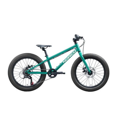 Norco Storm 20 Disc - Rigid Fork