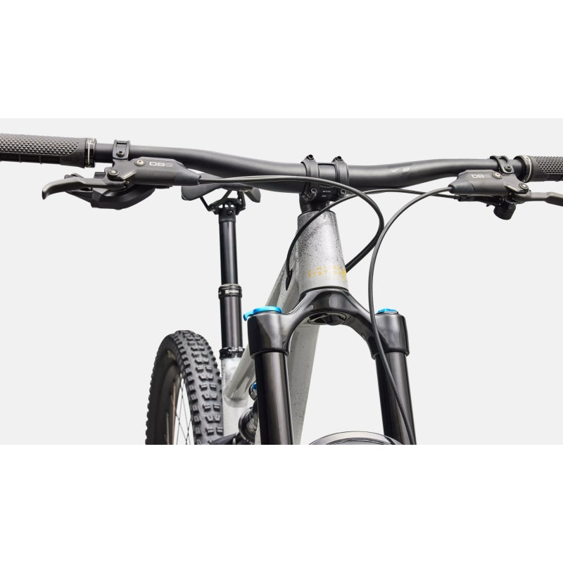 Status 2 170 Zero Specialized 2026