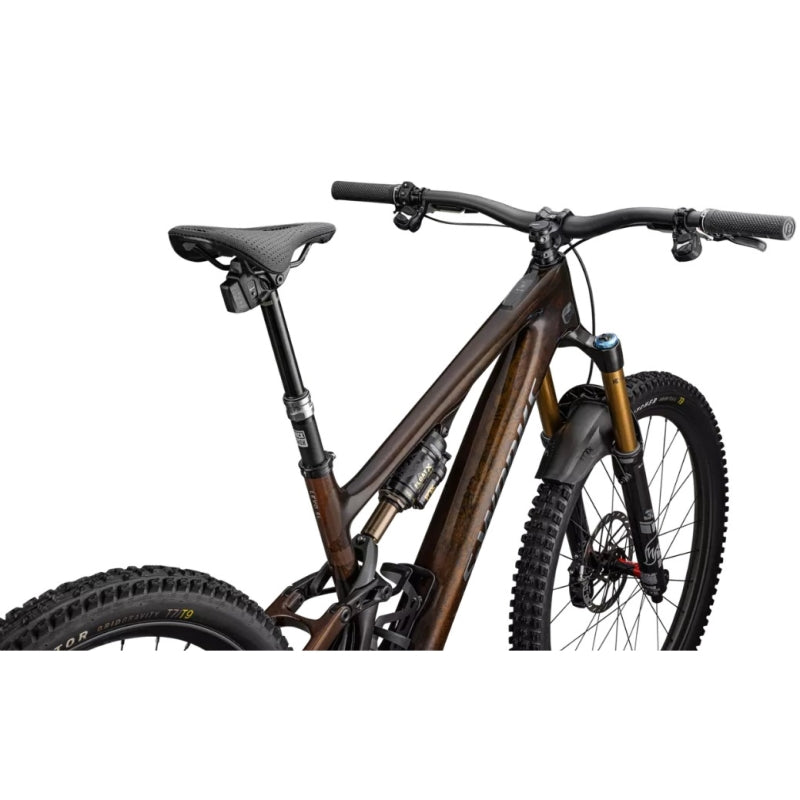 Specialized S-works Levo SL2