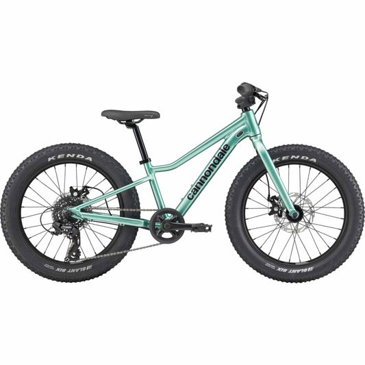 Cannondale 2026 Kids Trail Plus 20