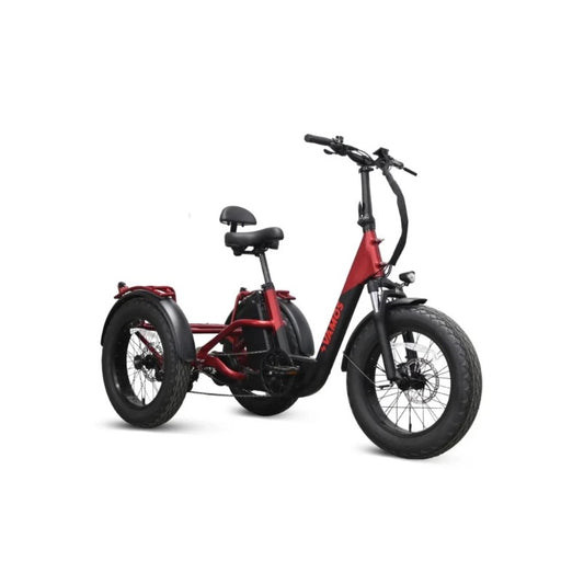 Vamos Papa Grande Pro 2024: The Ultimate 3-WHEEL Electric Trike - 25AH Up To 100KM Per Charge