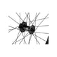 Roval Traverse SL II I9 1/1 29 Front Wheel