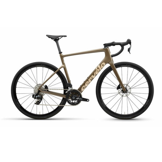 Cervelo 2026 Caledonia Rival Axs E1