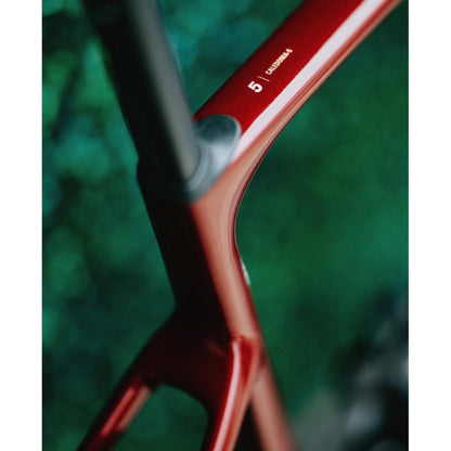 Cervelo C25 CALEDONIA-5 Frameset